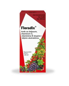 Floradix tonik 250ml